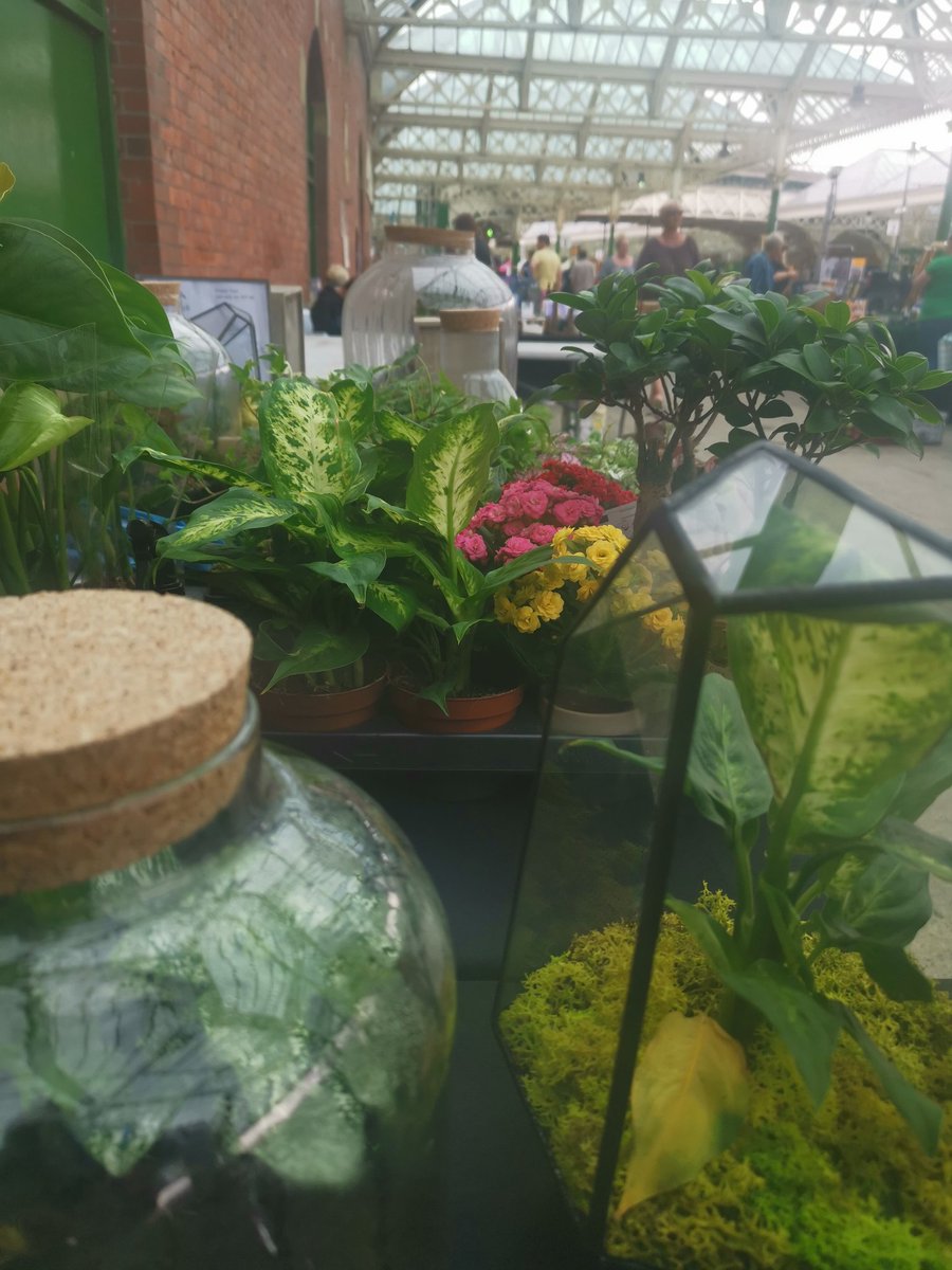 Saturday this weekend at Tynemouth, Sunday is a book fair. A few DIY bottle jar eco system kits this week.