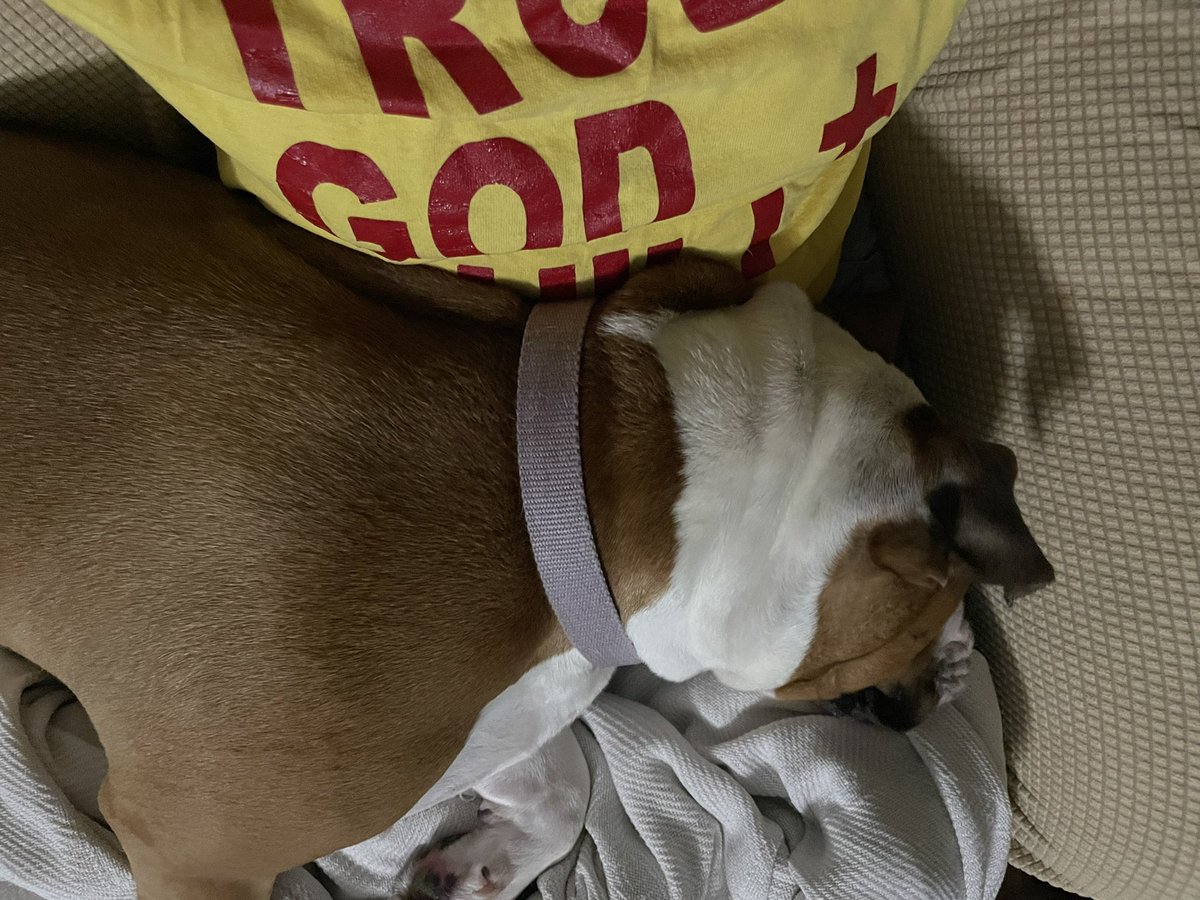 EricaMcCord4's tweet image. Shuri and I #SpoiledPup