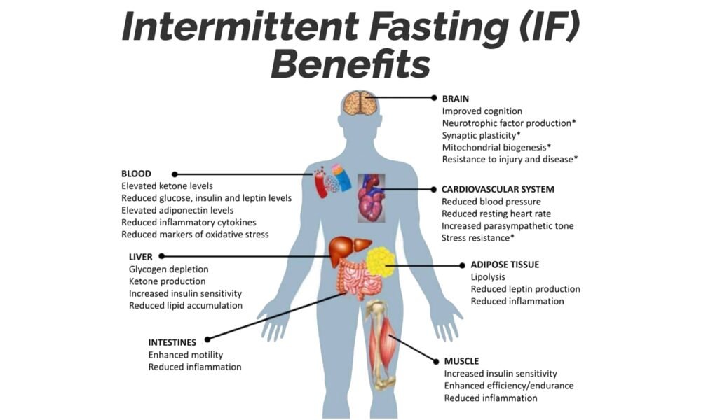 WarpCoreHealth's tweet image. Intermittent Fasting: The Key to Metabolic Health, Empowered by the Ketogenic Diet for Satiety, Hunger Reduction, and Craving Control warpcorehealth.com/intermittent-f… 

#IntermittentFasting #KetoPower #MetabolicHealth #SatietyBoost #CravingControl