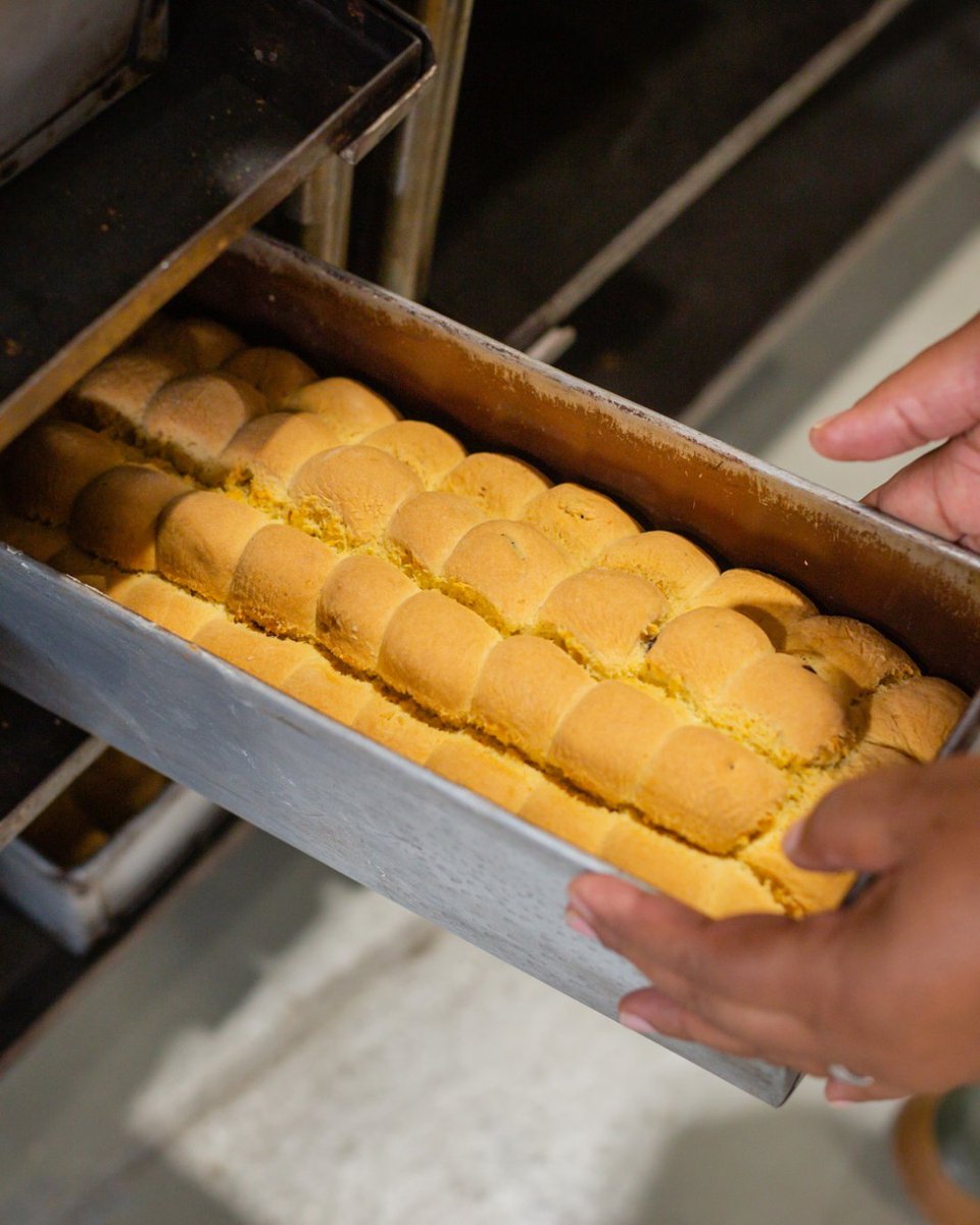 AlettesRusks's tweet photo. Immerse yourself in the authentic delights of Alette's Mosbolletjie/Sourdough Rusks!🌾
#AlettesRusks #RuskLovers #FlavourfulMoments #CoffeeBreakDelights #mosbolletjierusks #sourdoughrusk https://t.co/kK1FMZ8llu