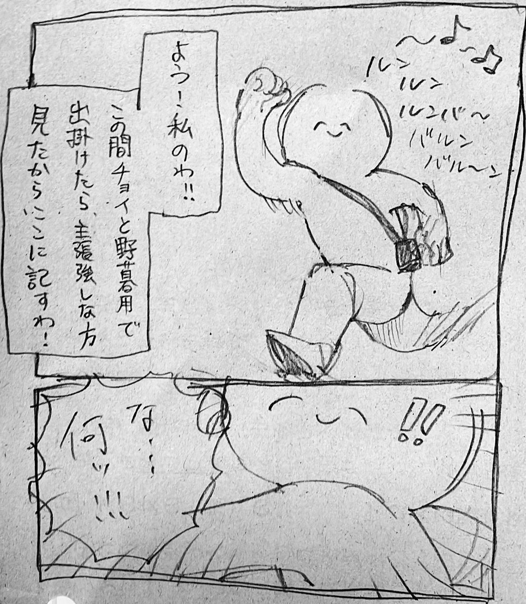 ちょっとしたのわさんの日記‼️‼️📗
私もTシャツ作ろうかしらん☺️ 