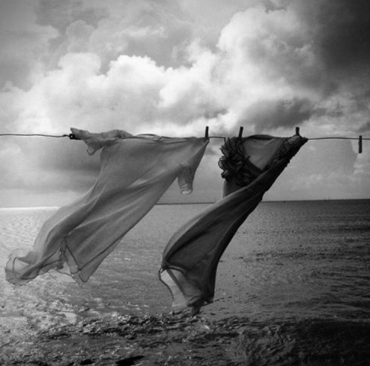 vendetta20220's tweet photo. Une danse entre drapés 
Et air...

📷 Maurizio Vela https://t.co/S49MZC5bKR