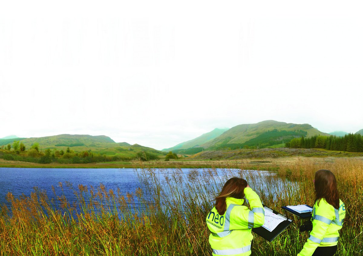 NeoEnviron's tweet photo. As we continue to grow at Neo Environmental Ltd we are looking for more team members to join a variety of disciplines.
We have just added a Principal Ecologist, Principal Planner and a graduate Ecologist to our jobs listings which you can find at https://t.co/Pb5ilOVkRe https://t.co/0oc2ohq6mW