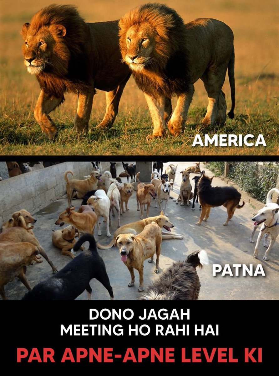 KreatelyMedia's tweet photo. रोक नहीं पाये😂 https://t.co/GW8yQ15s1B