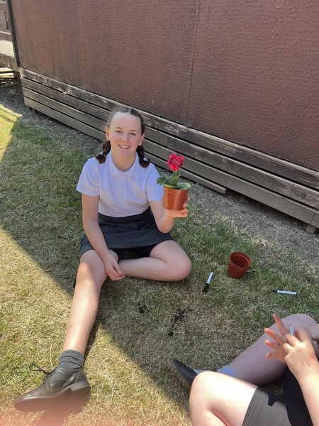 BOSCEPrimary's tweet image. Class 5 learnt how to propagate asexual plants. Using geraniums , spider plants, strawberry plants  and mint, we were able to take cuttings to create our own new plantlets. We will observe them over the coming weeks.