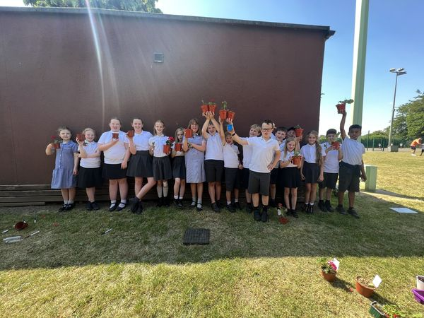 BOSCEPrimary's tweet image. Class 5 learnt how to propagate asexual plants. Using geraniums , spider plants, strawberry plants  and mint, we were able to take cuttings to create our own new plantlets. We will observe them over the coming weeks.