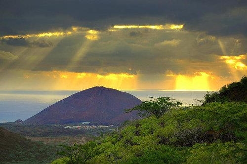 This is Ascension island, and this little mid-Atlantic volcanic island might well have the key to our future survival on this planet.

For, you see, this island's ecosystem is artificial: Ascension island was terraformed.

Read on...