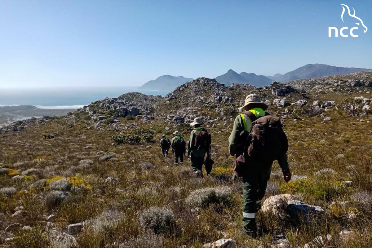 NCC Environmental Services tweet media