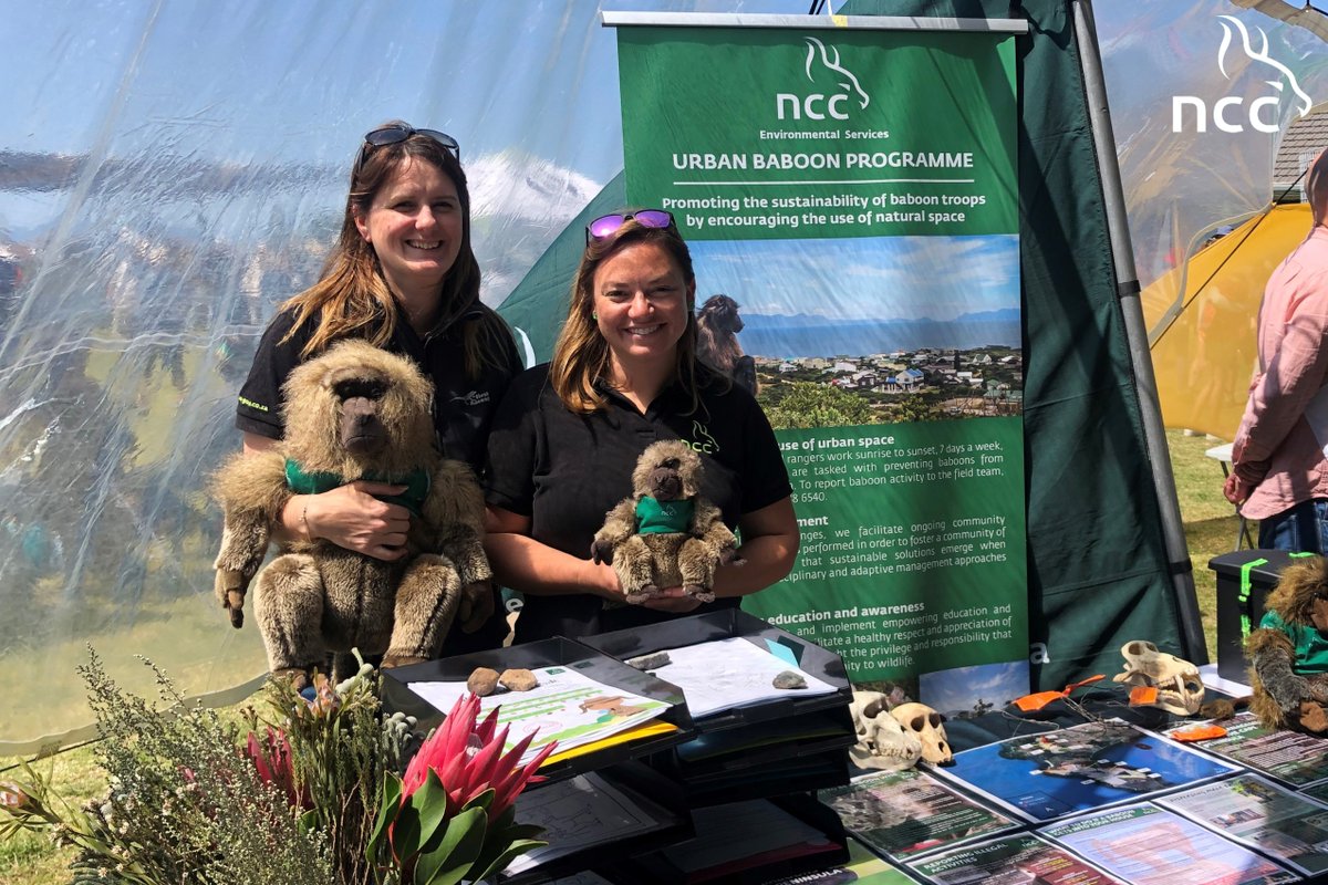 NCC Environmental Services tweet media