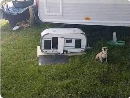 He's camping too.