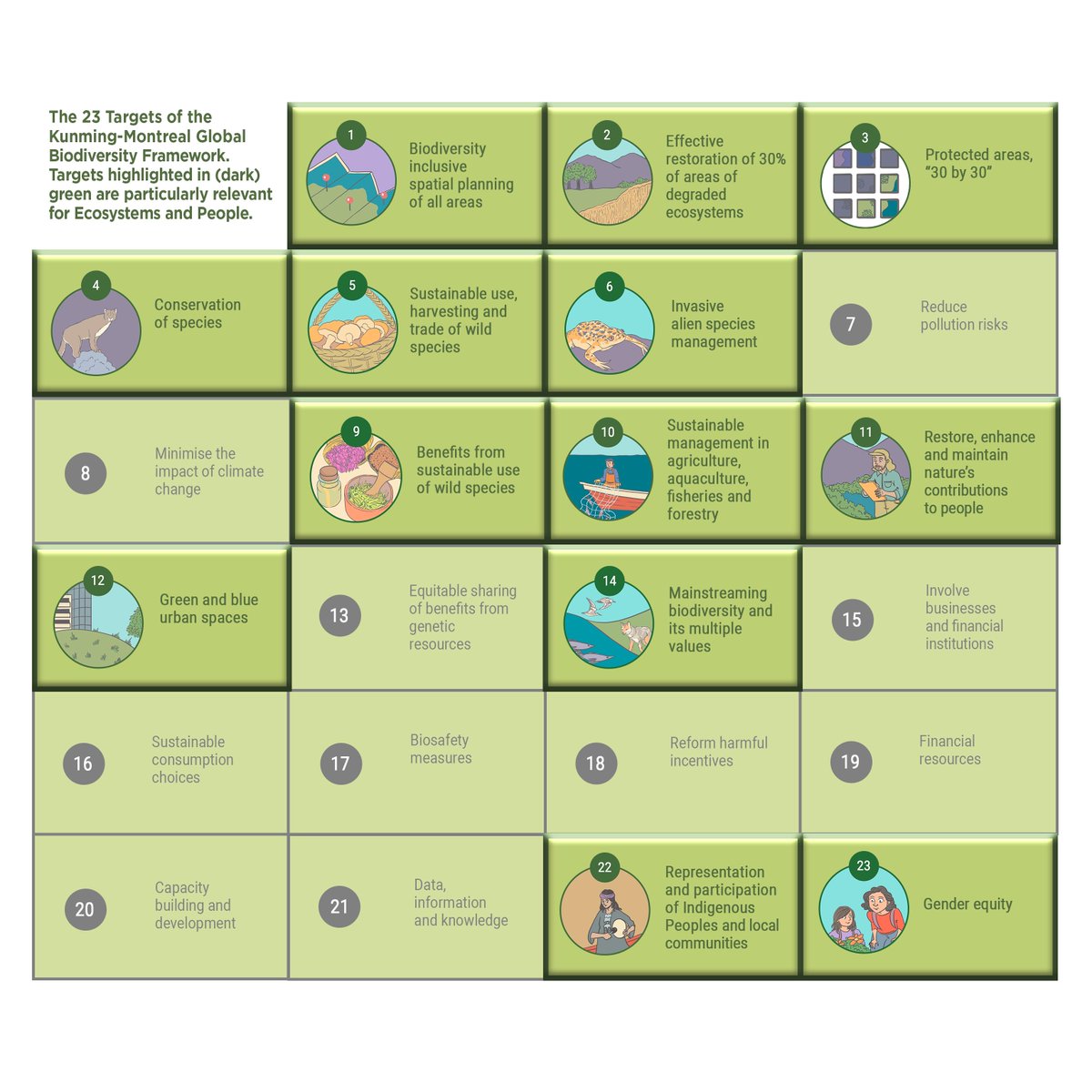 With our editorial we invite research that supports the achievement of the new Kunming-Montreal Global Biodiversity Targets. Here a 🧵 on some examples for crucially needed work on each of the 13 targets. tandfonline.com/doi/full/10.10… ~MS