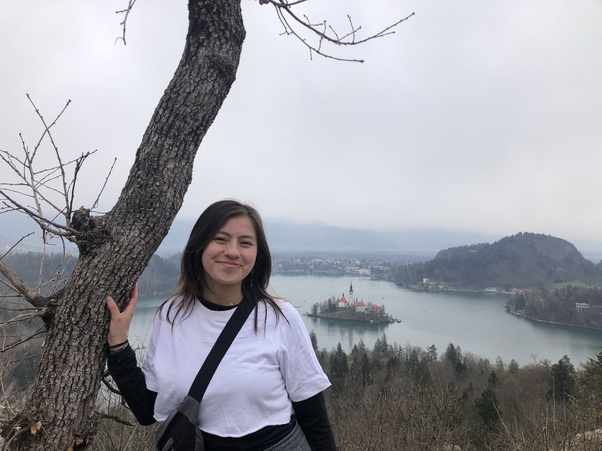 Bioengineering, The University of Sheffield tweet media