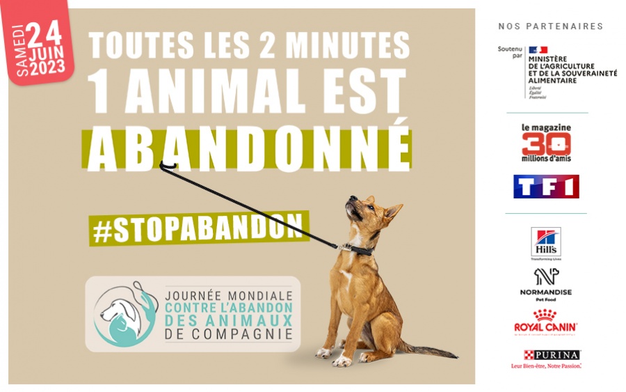 Aujourd'hui, c'est la Journée mondiale de lutte contre l'abandon des animaux de compagnie. 
Des  solutions existent pour faire garder votre animal pendant votre absence  (des dépliants sont à votre disposition à l'accueil de la mairie) ou  partir en vacances avec ! #STOPABANDON