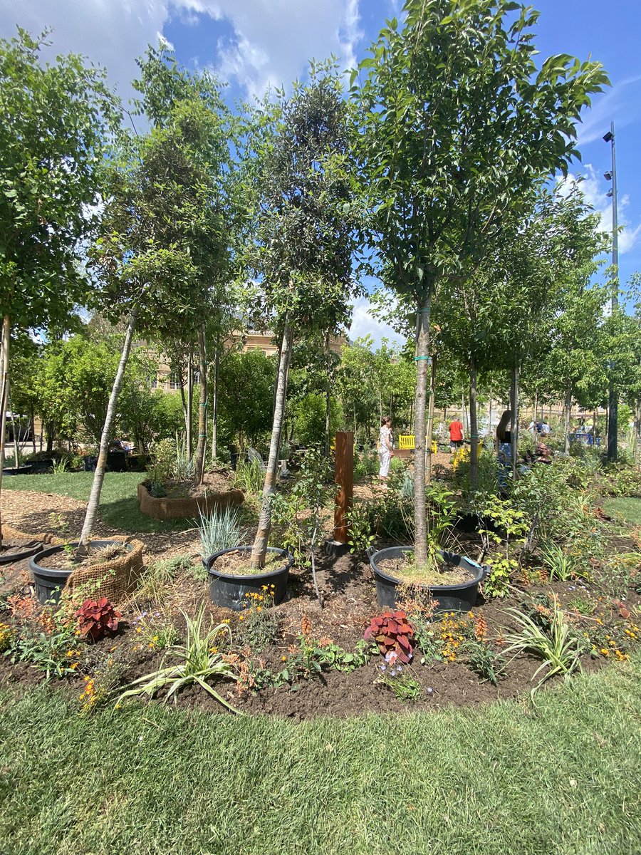 Témoin du travail réalisé par les services de la @MairiedeMetz que j’ai pu constater ces derniers jours sur le trajet qui me conduit au campus du Saulcy de l’<a href="/Univ_Lorraine/">Lorraine</a>, je découvre l’installation du jardin éphémère. Les messins ne tardent pas à s’emparer de ce bel espace 👏🏻