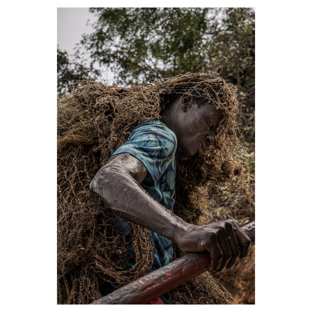 Annika Hammerschlag tweet media