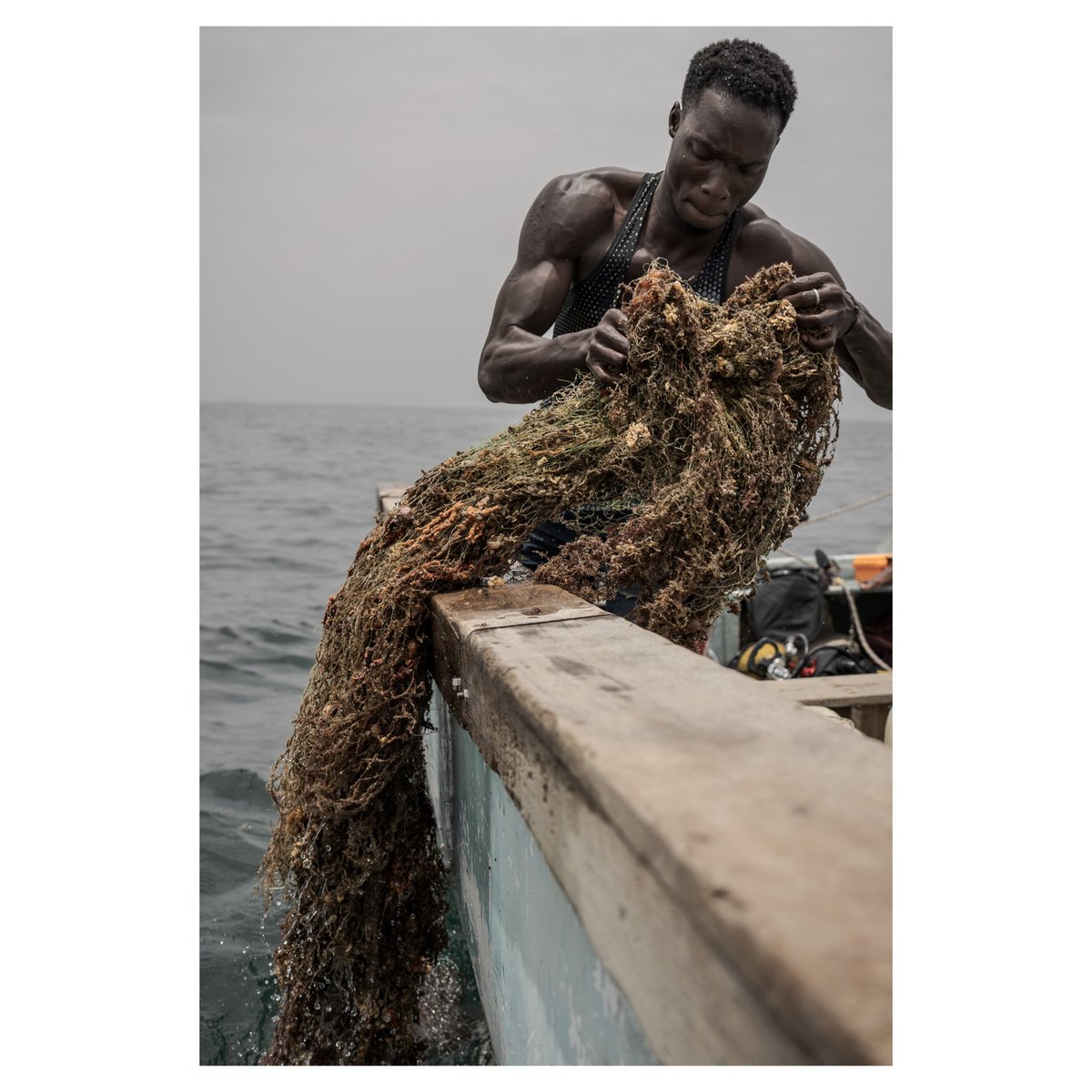 Annika Hammerschlag tweet media