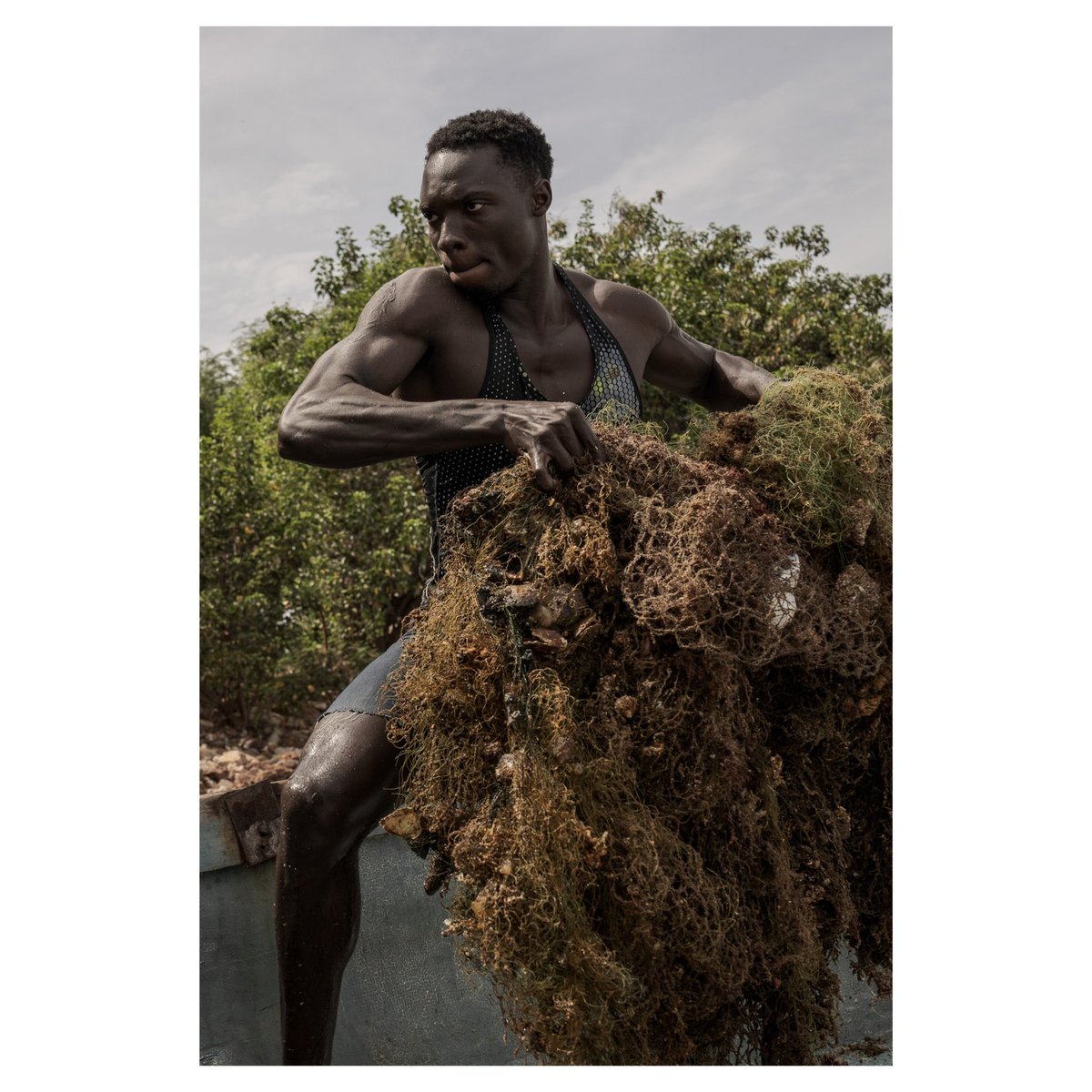 Annika Hammerschlag tweet media