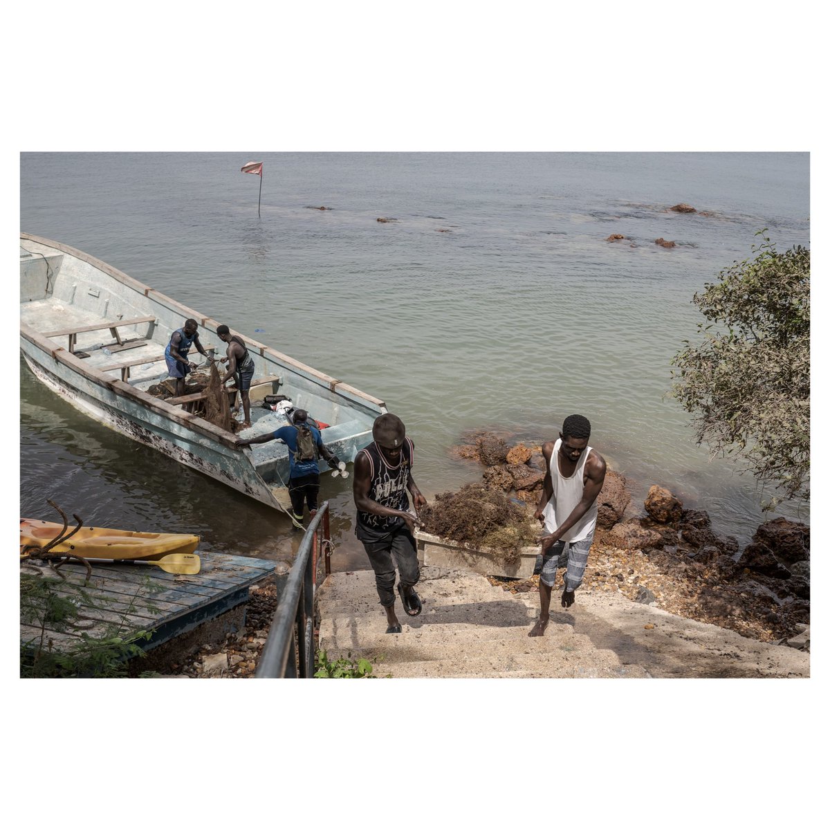 Annika Hammerschlag tweet media