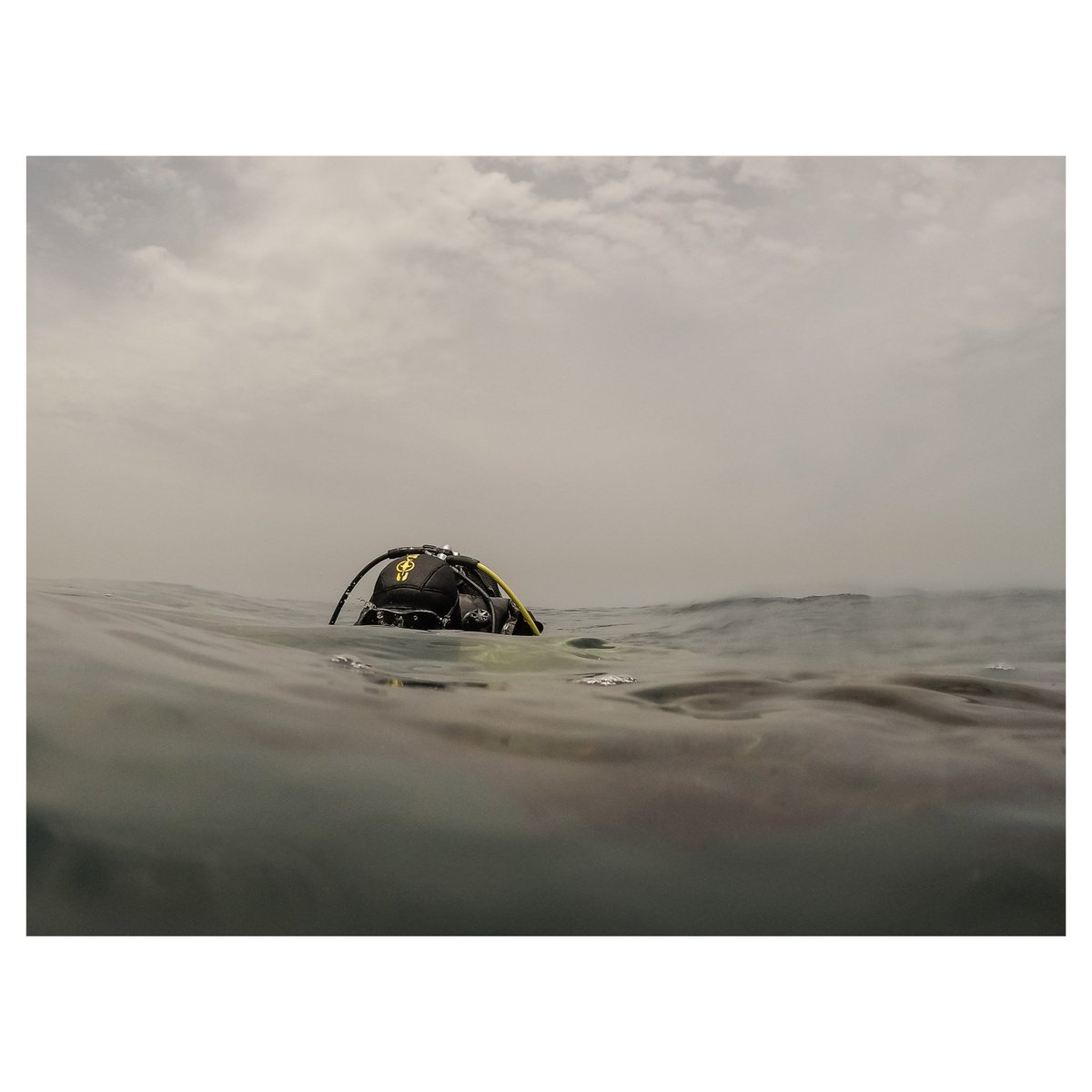 Annika Hammerschlag tweet media