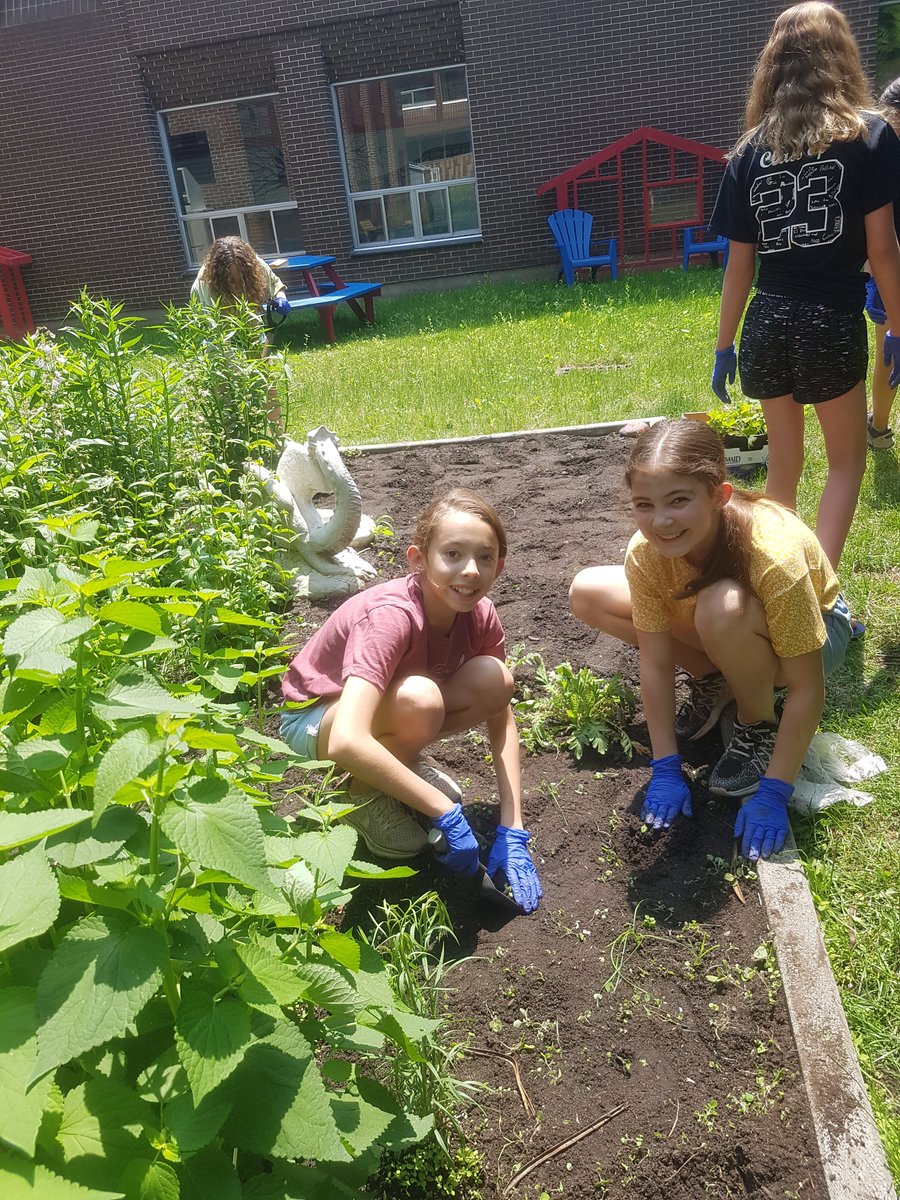 Mrs_S_Sullivan's tweet photo. Fab Dragon's Meadow Team! https://t.co/kYgKm90yHT