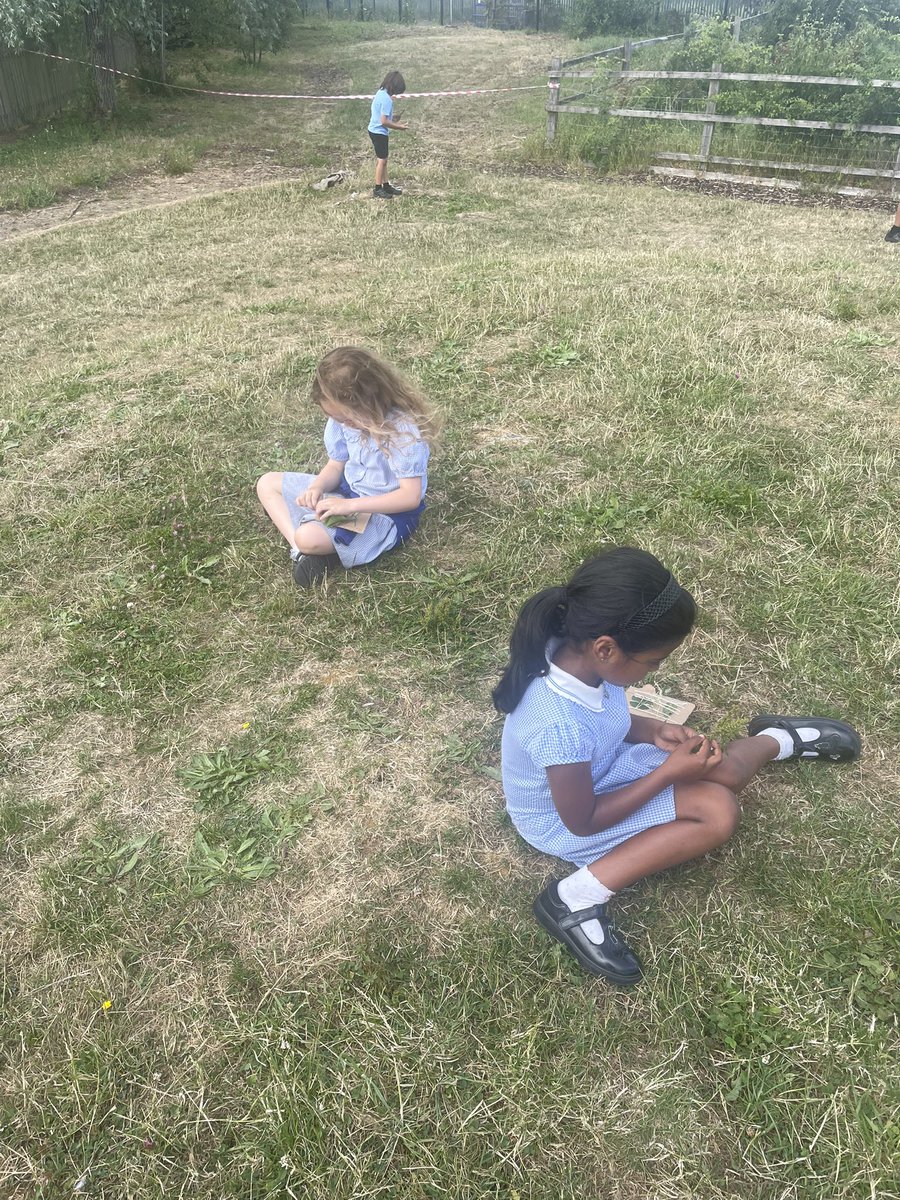 WfaYear2's tweet photo. A calm activity outdoors after such a busy week 🌿 https://t.co/XyKn3nzNkG