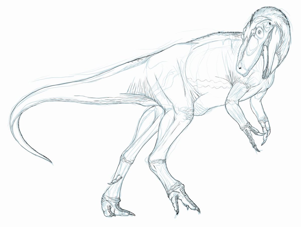 kta92751434's tweet photo. #Appalachiosaurus
#アパラチオサウルス
wip https://t.co/WUqeaKV5a2