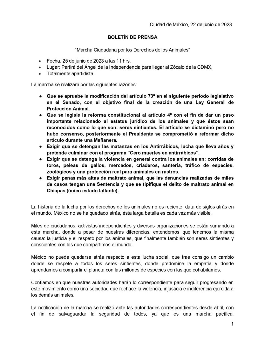 AmorSinRaza tweet media