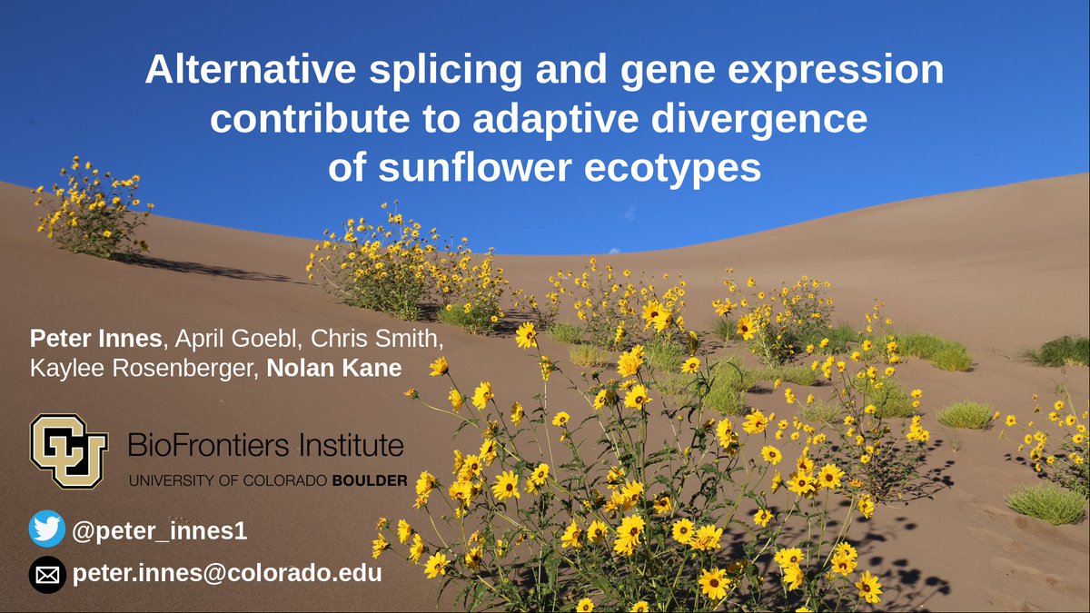 Good morning #Evol2023 I'll be giving my talk today in just a couple hours! 9:45 in Aztec 140 (Gene Expression I)