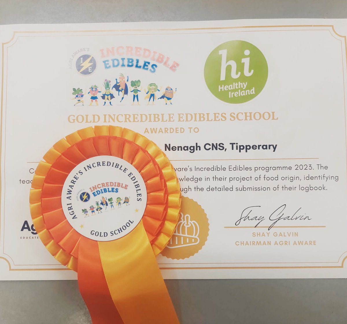 We are delighted to announce we are a Gold Incredible Edibles School🥳🥳🥳

Well done to everyone who put in a massive effort to achieve this award #incredibleedibles @AgriAware