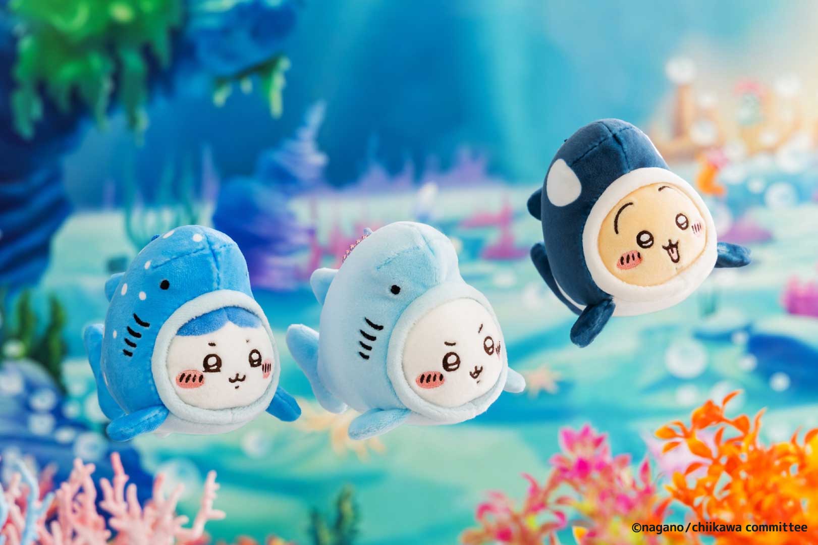 仙台うみの杜水族館公式 on X: 