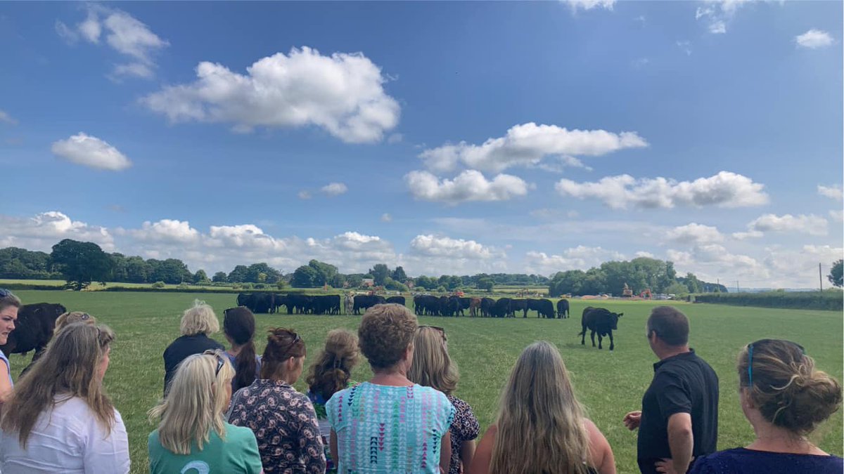 Our Women in Farming Group visiting one of our local livestock buyers on the Somerset Levels. #presentationiskey #uplandfarming