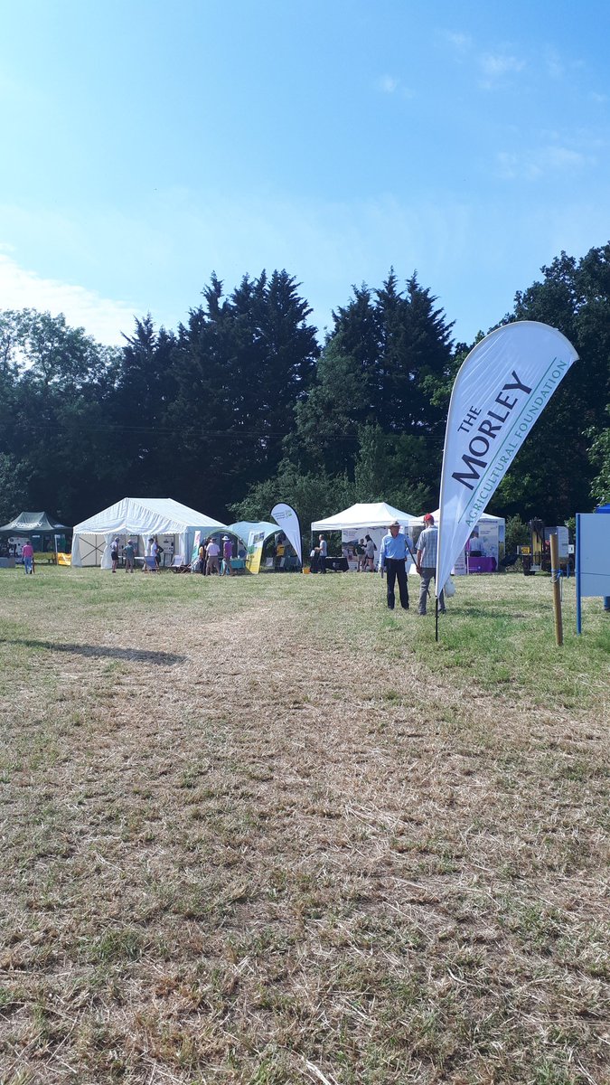 Laura Bouvet tweet media