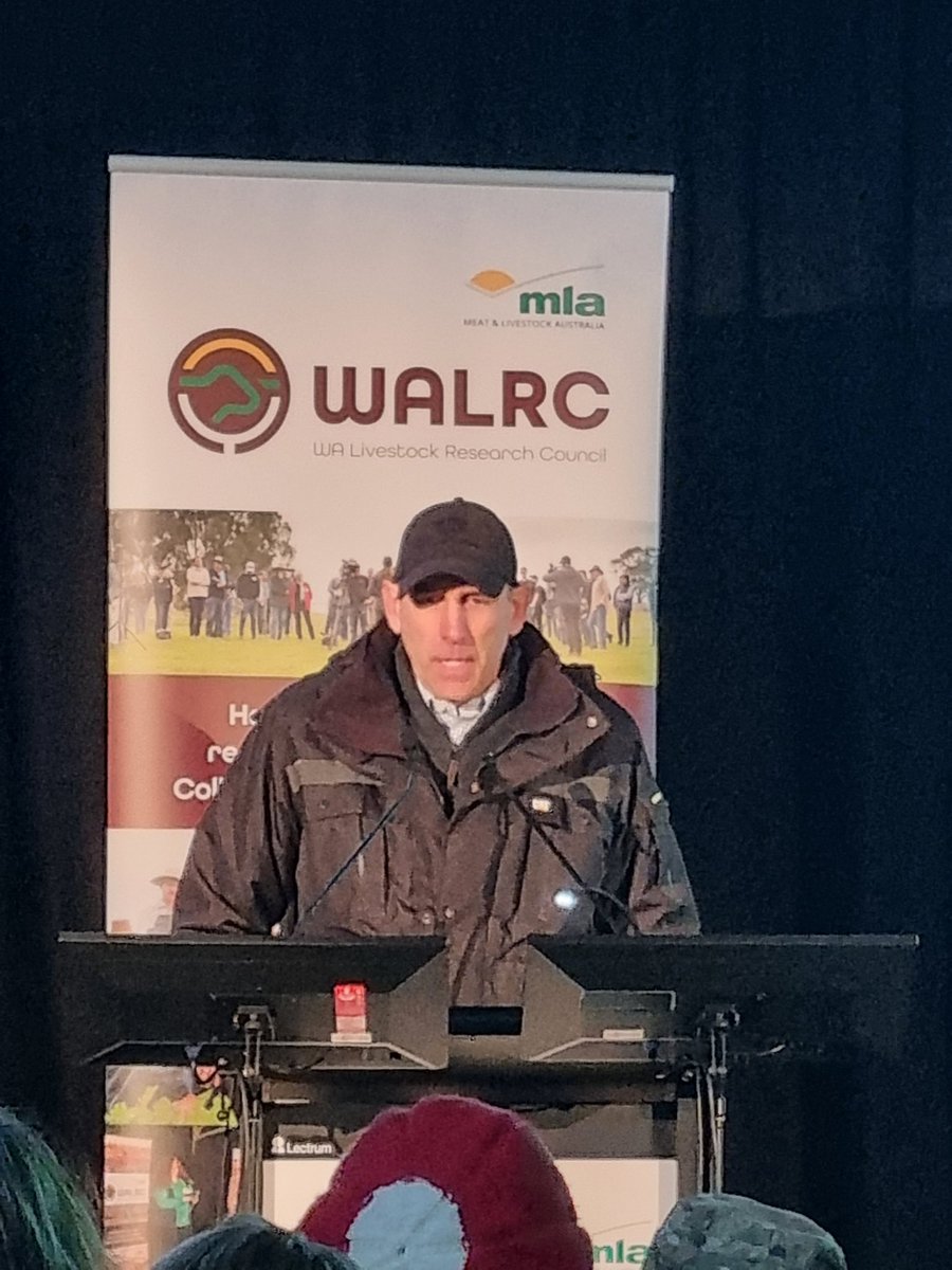 Julianne_Hill's tweet photo. @GrahamMussell today @ #LivestockMatters on Bridging the feed gap using summer active options. Not as easy as it seems. Some doing it well, but even in Scott River/Karridale last 3 yrs saw 14-18 wks 0 rainfall from Oct-Mar so high risk #FutureDroughtFund @GGA_WA #SWWADroughtHub https://t.co/9mIvAadhIe
