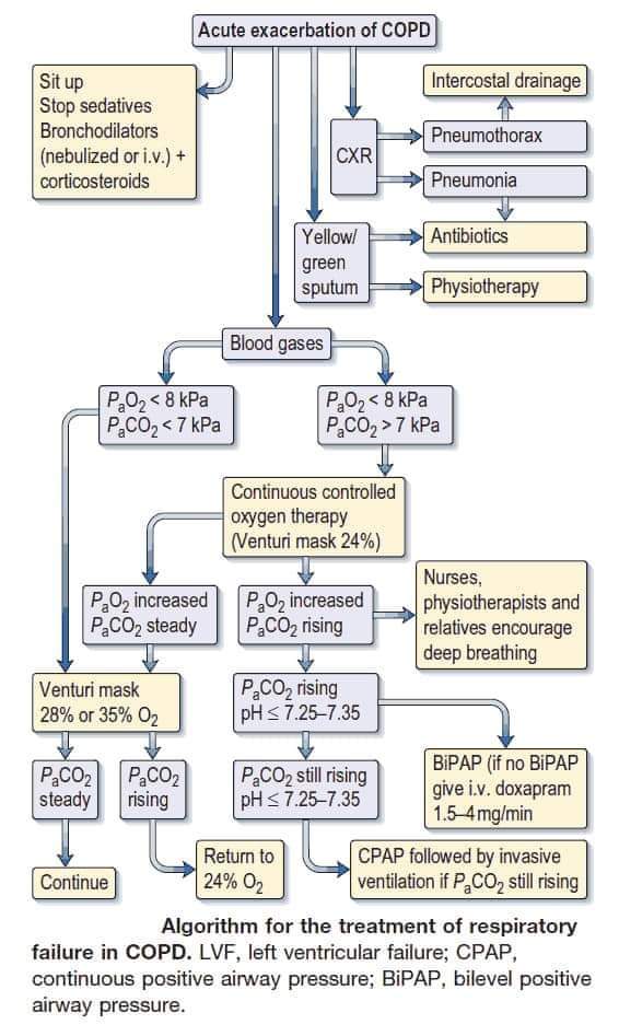 Algorithm for the treatment of respiratory
failure in COPD.  🫁