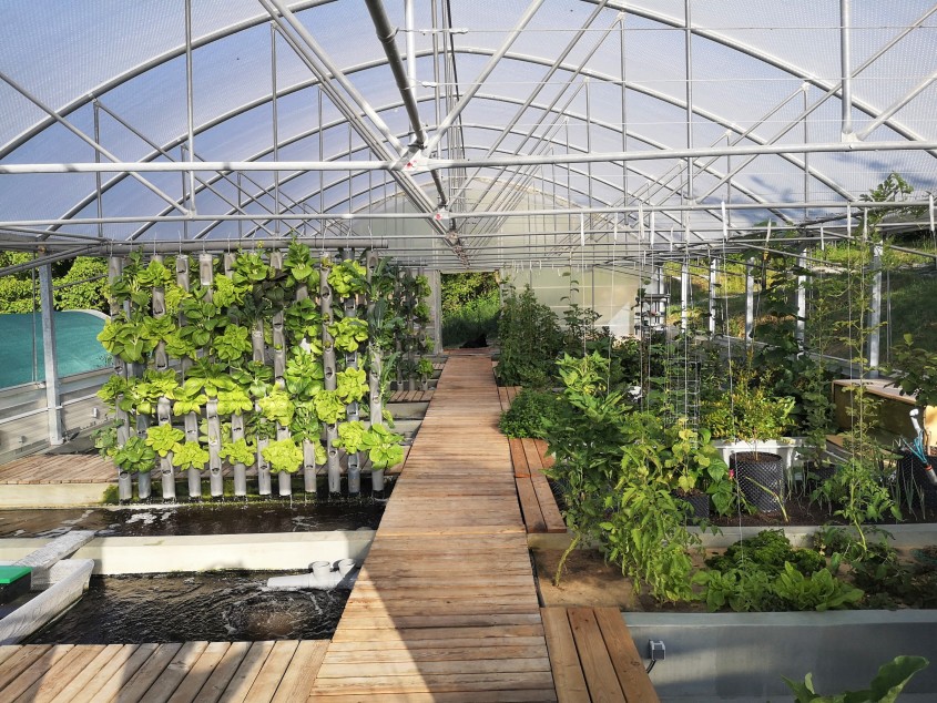 Dezentrale nachhaltige Lebensmittelproduktion. Forschungsprojekt zu Kreislaufwirtschaft und... pressetext.com/news/202306230…