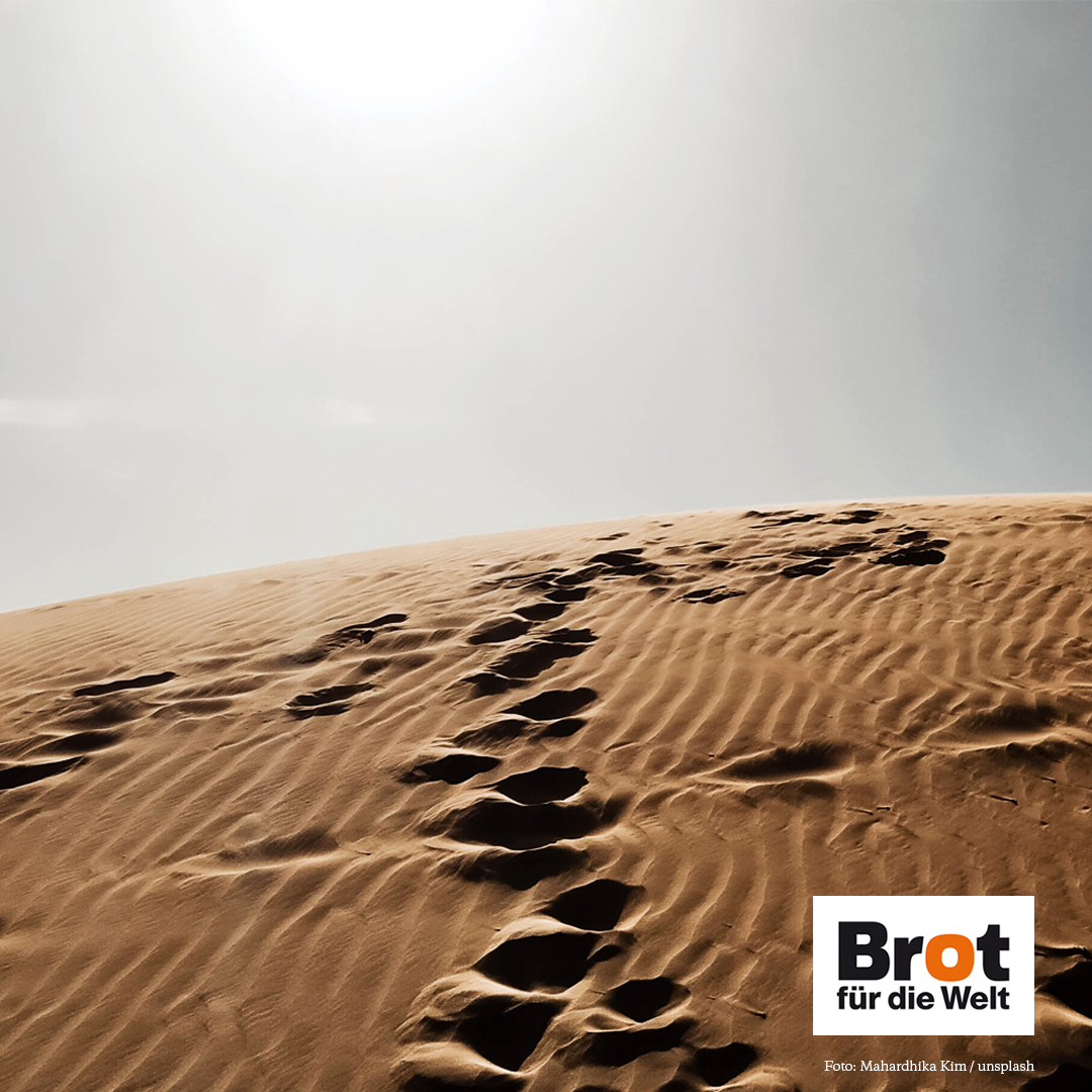 #Fürbitte 🕊

Wir beten für die Menschen im Sudan,
die in Hunger und Bürgerkrieg um ihr Überleben kämpfen!

Die ganze Fürbitte findest du hier 👉brot-fuer-die-welt.de/gemeinden/fuer…