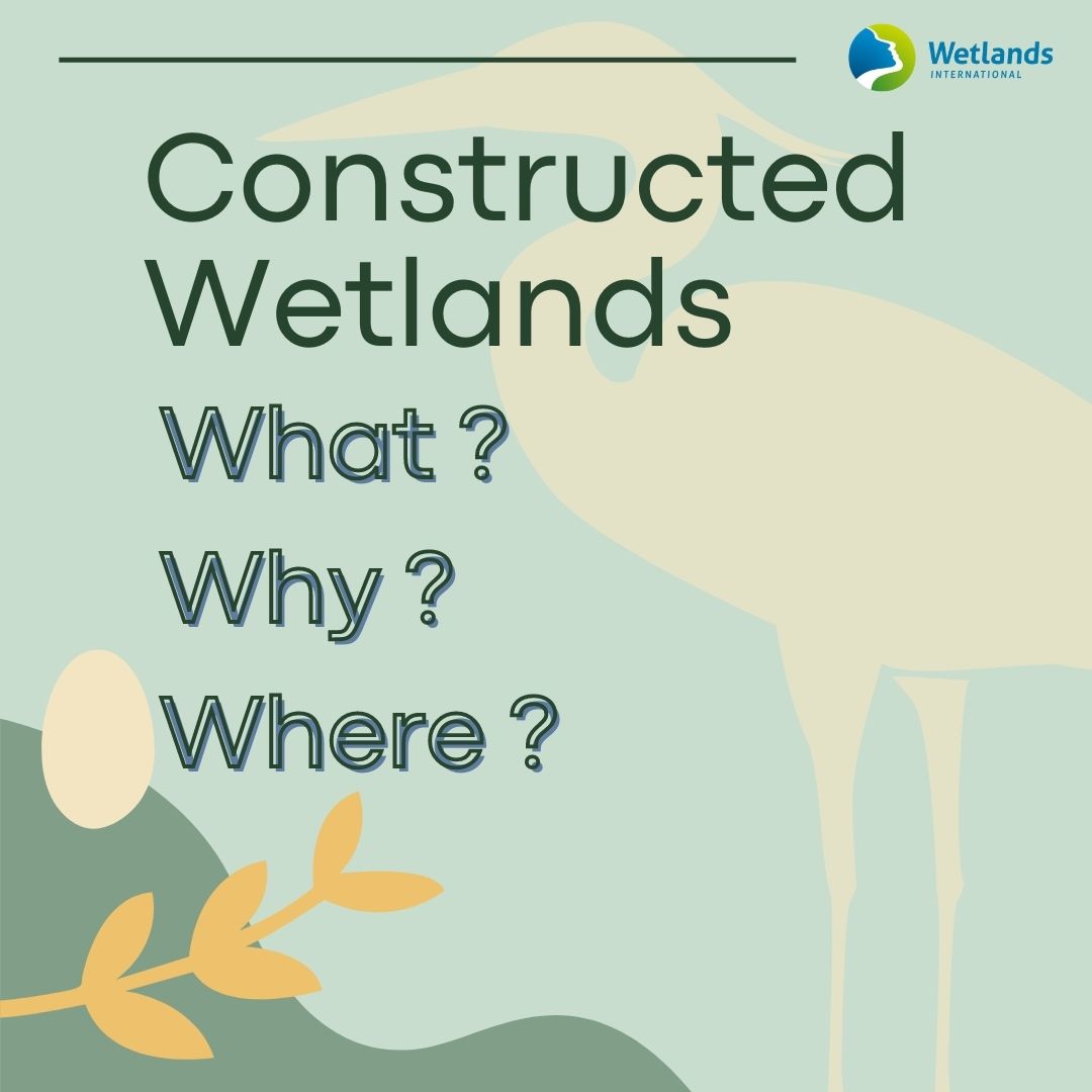 Wetlands International MY tweet media