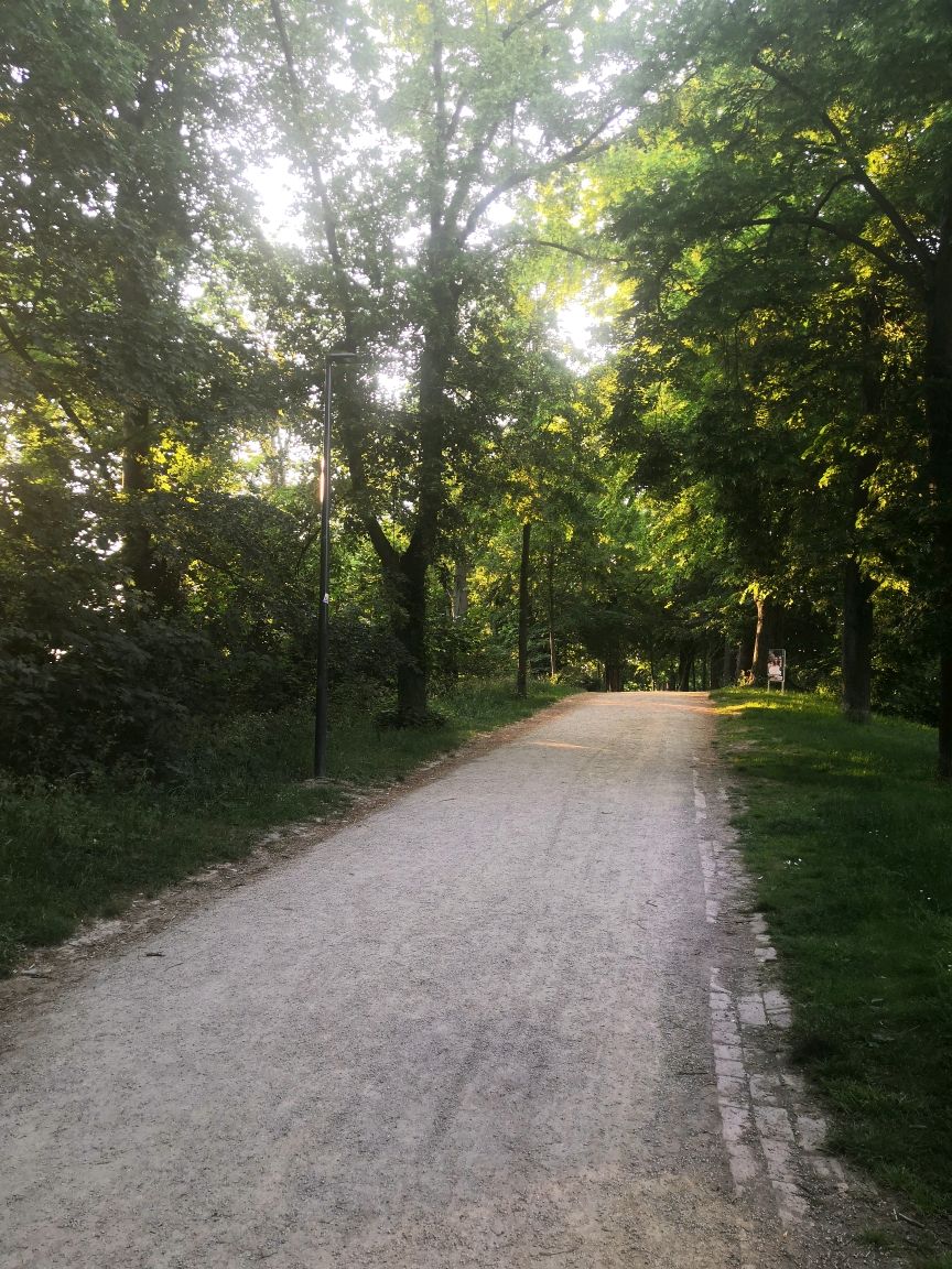 thegoecampus's tweet image. Postdoc Walks: to make sure all researchers across Göttingen have a chance to walk, talk and meet up. Meet at 18:30 today (Friday 23 June) at the Gänseliesel Fountain in the Markt to walk through green spaces: goettingen-campus.de/de/postdoc-eve… #GCPostdoc #StrongerTogether #GetWellStayWell