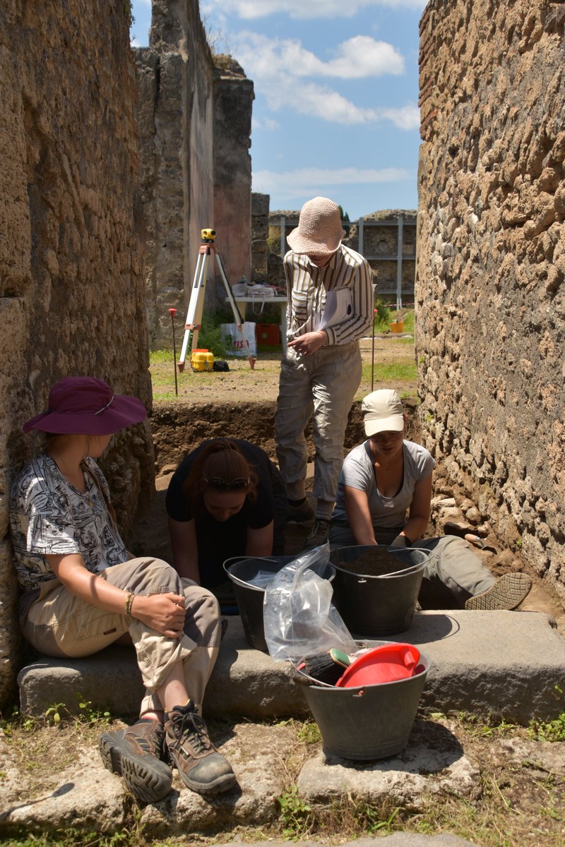 Focusing on the pre-Roman levels of Pompeii, this project aims to understand the social and architectural evolution of properties with testudinate (roofed) atria from the Republican period and looks at the ways people lived in and used these spaces over time.