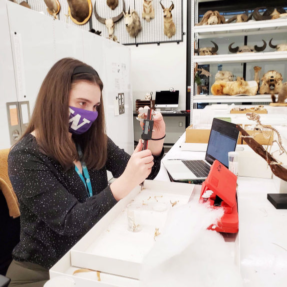 iobjournal's tweet photo. Spotlight on some of the #authors of
Size And #Locomotor #Ecology Have Differing Effects on the External and Internal #Morphologies of #Squirrel Limb #Bones
https://t.co/cF3gKD6geA
@JohannahRickman , @AbbyEBurtner, (@)chris_j_law on Instagram
Be sure & see what they're up to. https://t.co/noH92jldYB