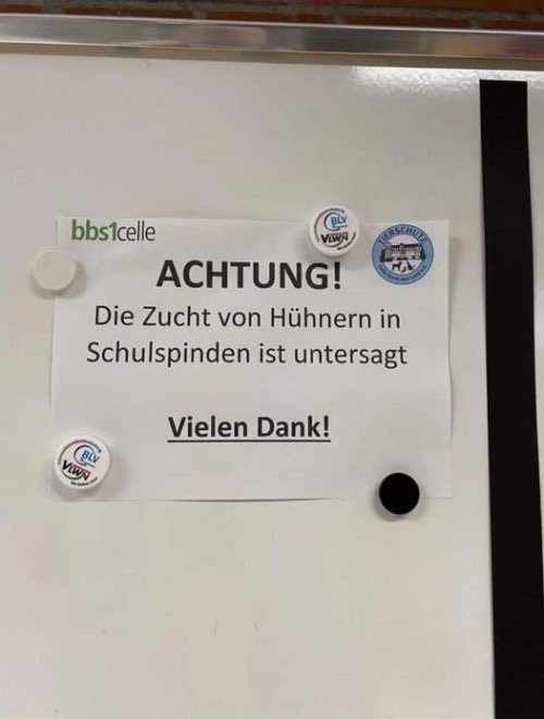 paarbier's tweet photo. WAS DARF MAN DENN HIER ÜBERHAUPT NOCH?? https://t.co/zUv6lH5riq