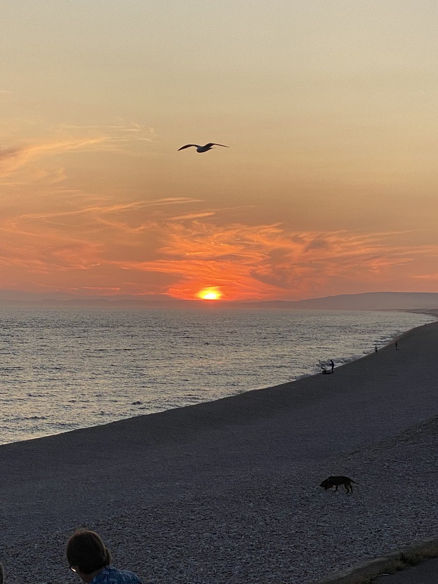 Wyke Creative 👨🏻‍💻👩🏼‍💻 tweet media