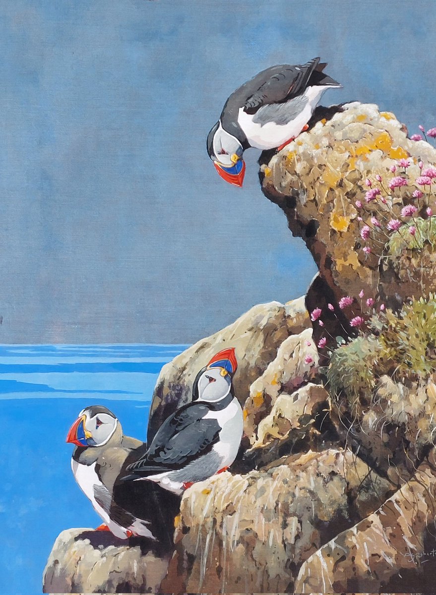 'The Great Stack' watercolour on linen for Pittenweem Arts Festival venue 2  5-12 August. Have spent proper time this year mastering the scorching bright light of the Scottish summer (!). This was based on Handa Island.

#puffins #seabirds #scottishislands @ScotWildlife