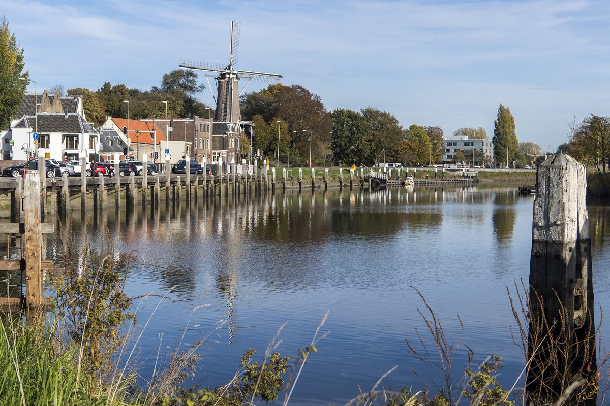 Vanuit meerdere plekken in Gouda wordt er melding gemaakt over dode vissen in het water. Dit neemt de gemeente uiteraard zeer serieus. De gemeente zoekt samen met het Hoogheemraadschap van Rijnland naar een oplossing. Lees meer: tinyurl.com/mk2as9ex