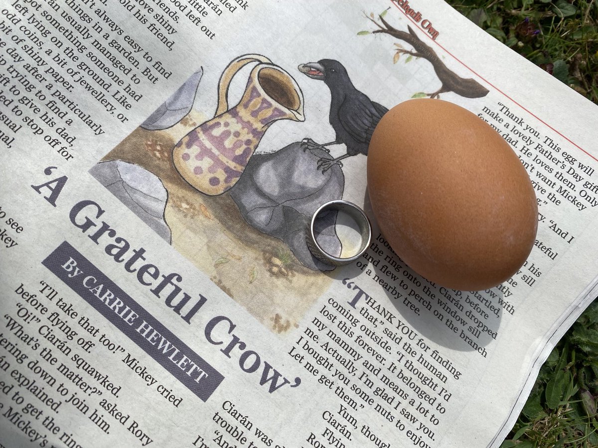 An egg and a ring…🤔 I wonder what that could mean for Cieran the crow? Feeling blessed to have another children’s story with Ireland’s Own with another perfect illustration by Jane Dorman…🥰😊🐦‍⬛💍🙏🏻 ⁦@irelandsown1902⁩ #childrensstory #animalstory #amwriting