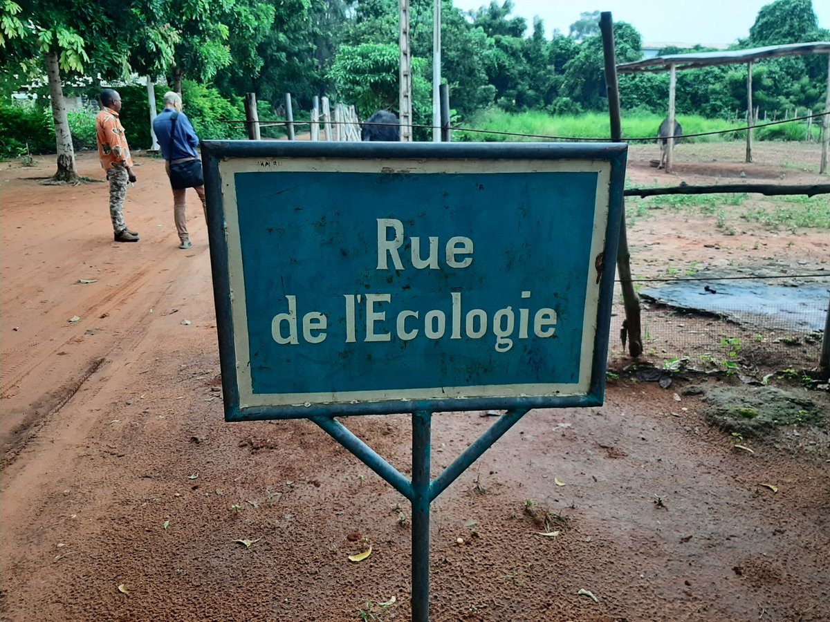 Visites partenariales et de terrain au Benin avec JC Avarre @isemevol - ces missions sont toujours des opportunités précieuses piur échanger avec nos partenaires et nos collègues sur leurs priorités de recherche @ird_fr @iEESParis