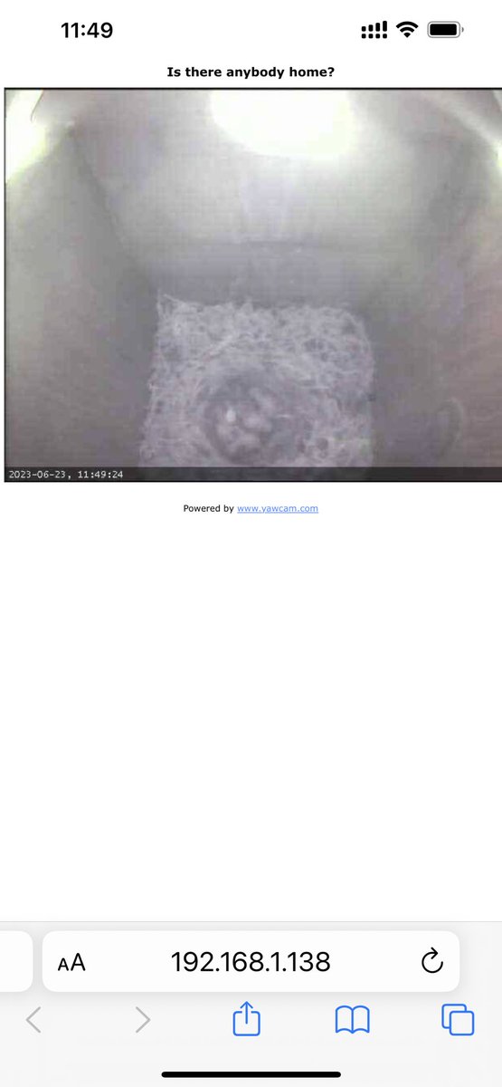 Montaillac's tweet photo. We have hatchlings! 5 out of the 6 eggs are out.
#secondsitting https://t.co/nKo8UPqXxK