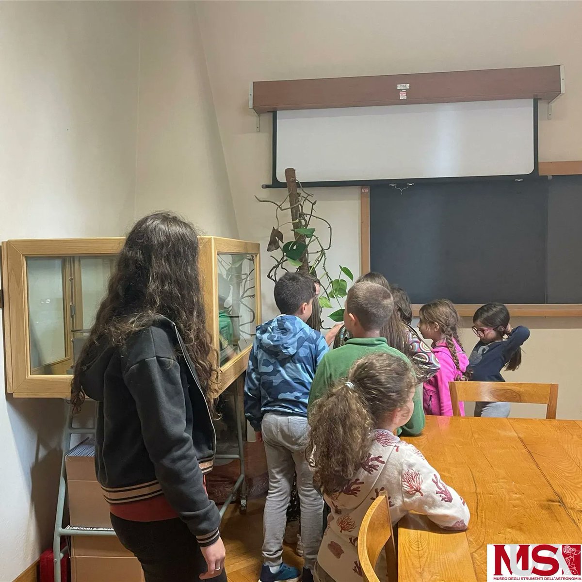 MuseoAstronomiaUnipd tweet media