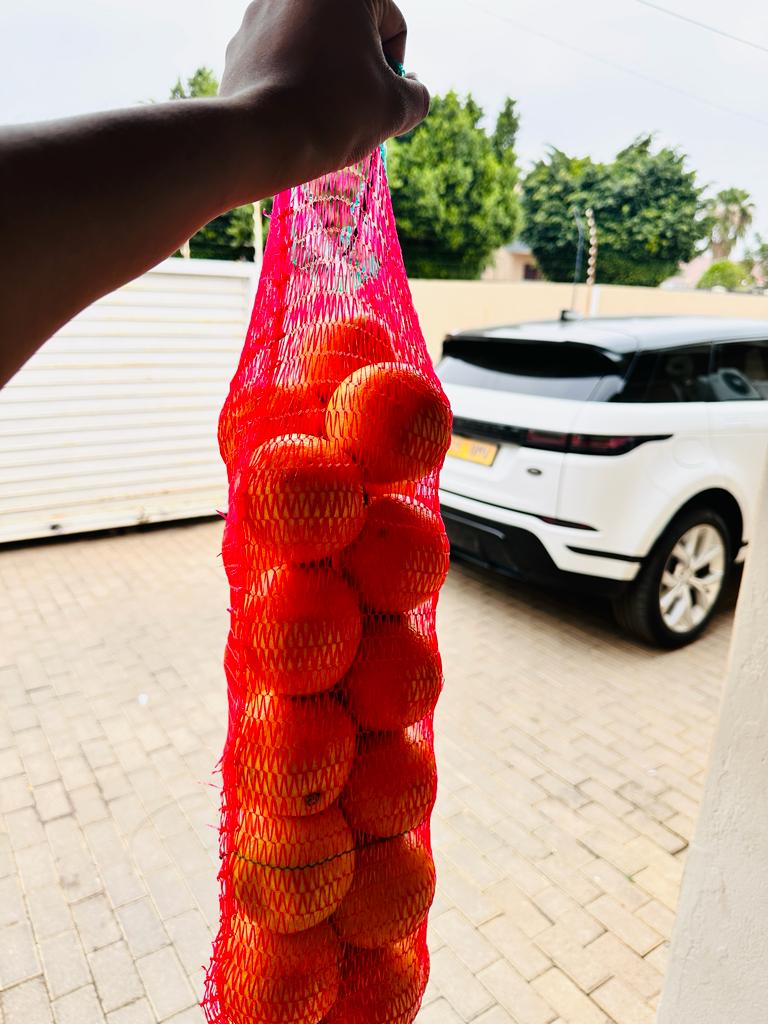 Rre_Mosweu's tweet photo. No matter how small, a parent's support is a beautiful thing. Always refreshing to know that your parents gots your back. Soweto arrived in Gabs and brought me 10 bags of Oranges as his support for the #BWPrideMove. https://t.co/W2A5DrOitz
