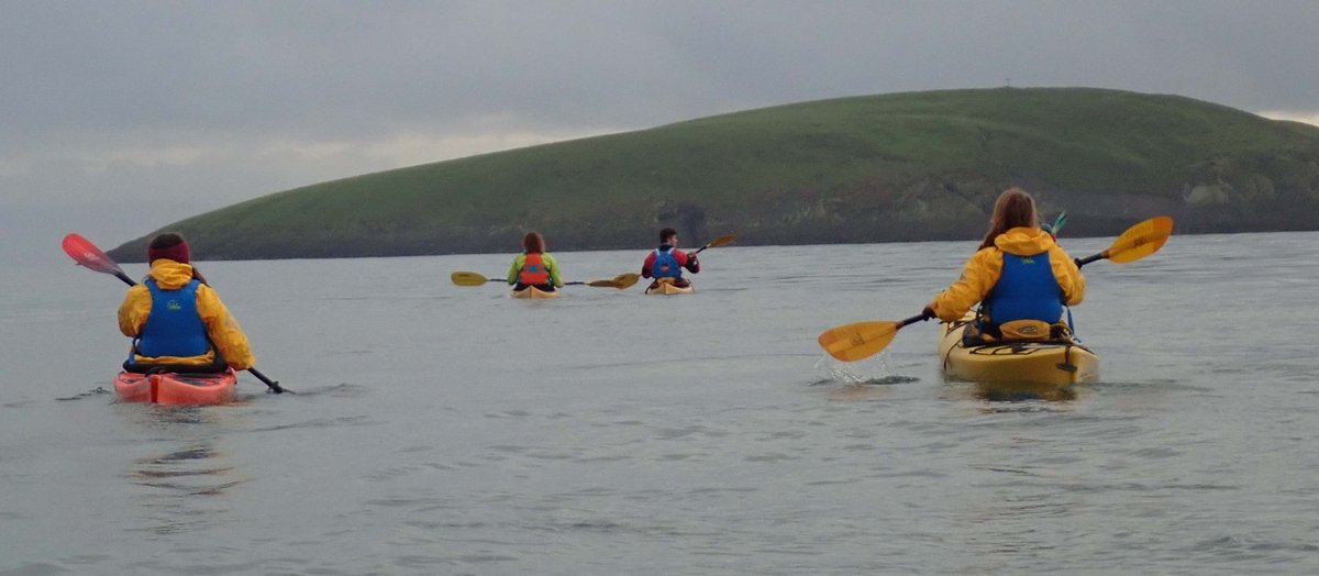 CMC Adventure tweet media